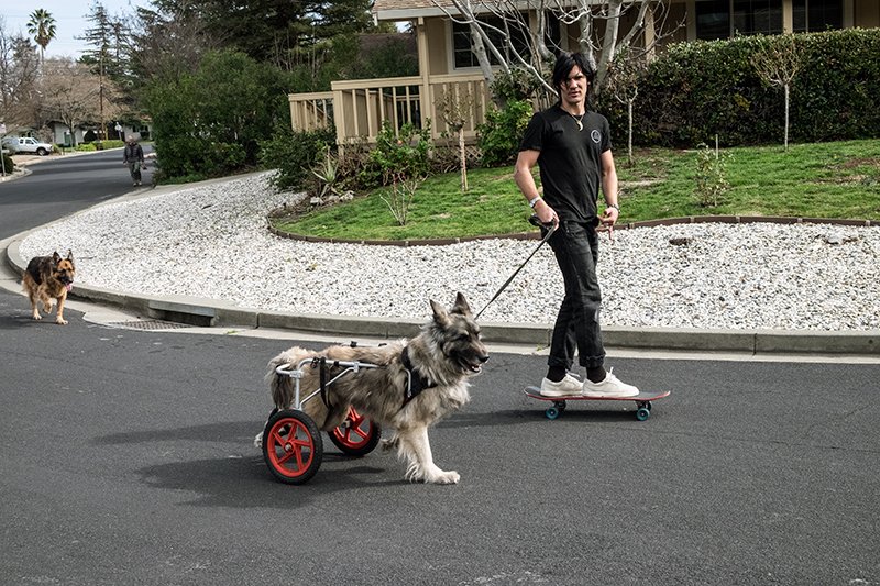 Long Live Crash Dog: Corey Duffel Interview